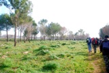 Clicca qui per vedere l'immagine in dettaglio